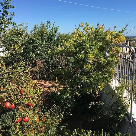 Panorama Rafinas *